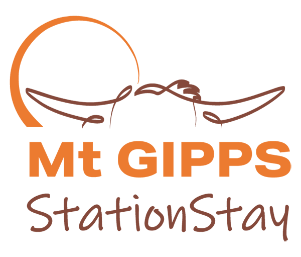 Mt Gipps Station Stay, Broken Hill NSW